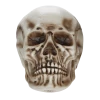 For Living Human Skull, Spooky Halloween Indoor Outdoor Bone Decorations, Beige, 10 1/4-in