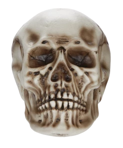 For Living Human Skull, Spooky Halloween Indoor Outdoor Bone Decorations, Beige, 10 1/4-in