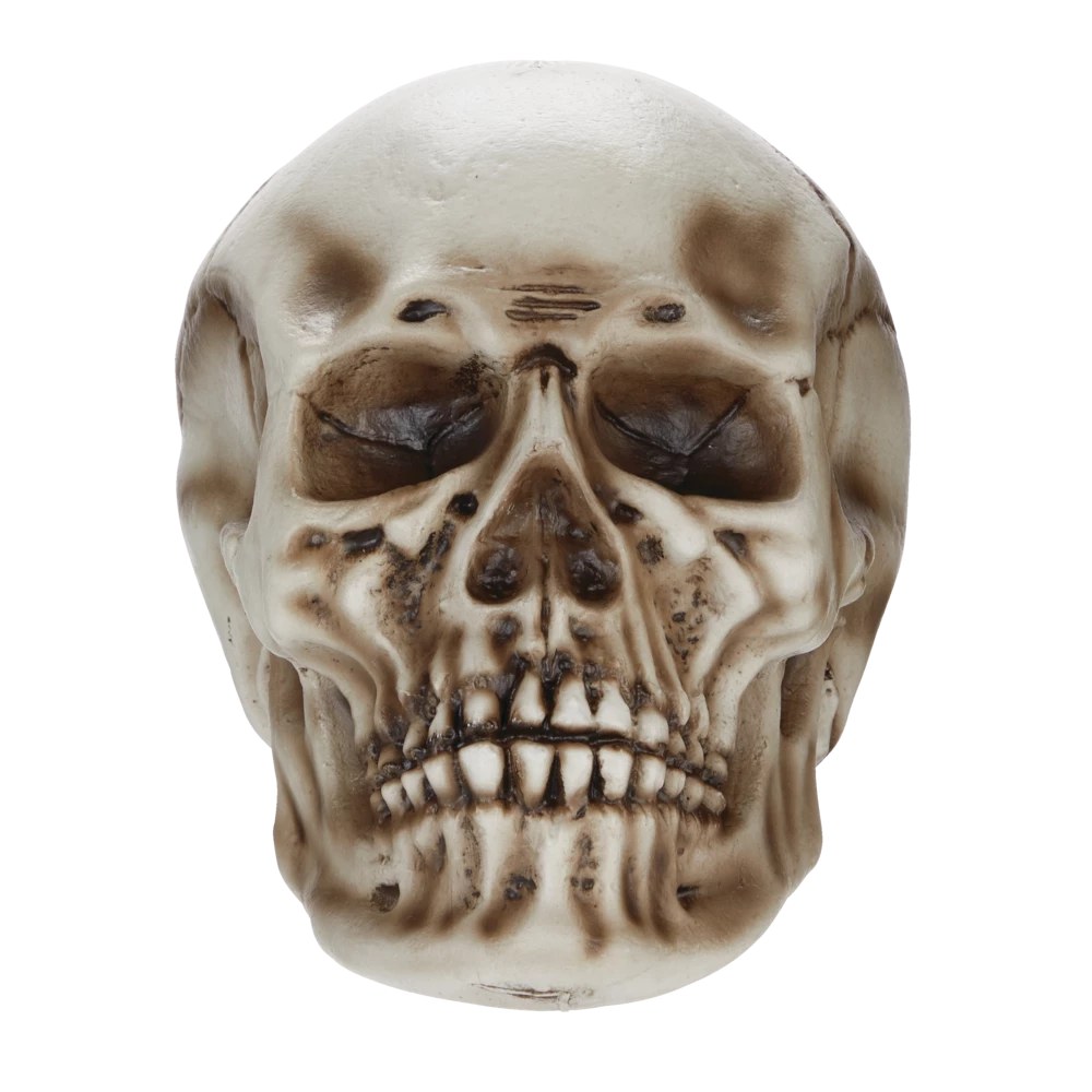 For Living Human Skull, Spooky Halloween Indoor Outdoor Bone Decorations, Beige, 10 1/4-in