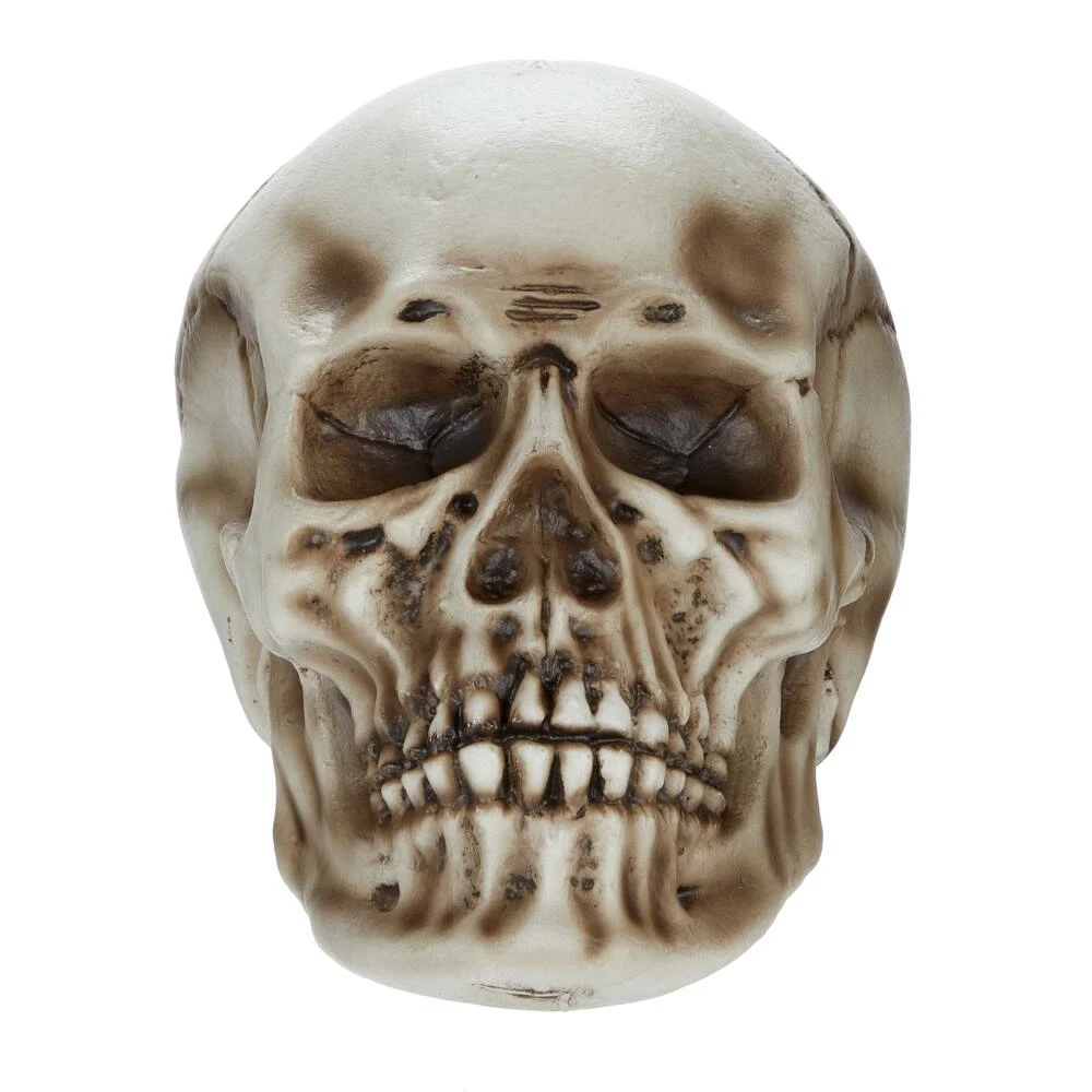 For Living Human Skull, Spooky Halloween Indoor Outdoor Bone Decorations, Beige, 10 1/4-in - Image 2