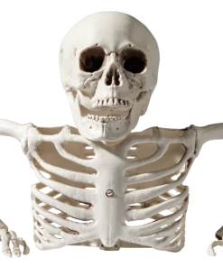 For Living Human Skeleton Groundbreaker, Creepy Halloween Decorations, White, 10 3/4-in