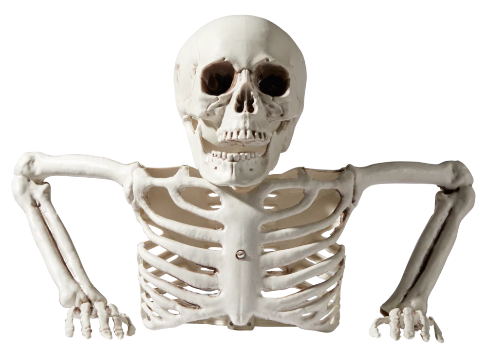 For Living Human Skeleton Groundbreaker, Creepy Halloween Decorations, White, 10 3/4-in