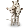 For Living 3-Headed Skeleton Dog, Spooky Halloween Indoor Bone Decorations, White, 13-in