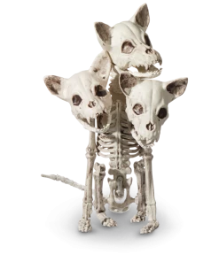 For Living 3-Headed Skeleton Dog, Spooky Halloween Indoor Bone Decorations, White, 13-in