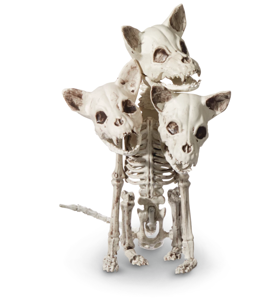 For Living 3-Headed Skeleton Dog, Spooky Halloween Indoor Bone Decorations, White, 13-in