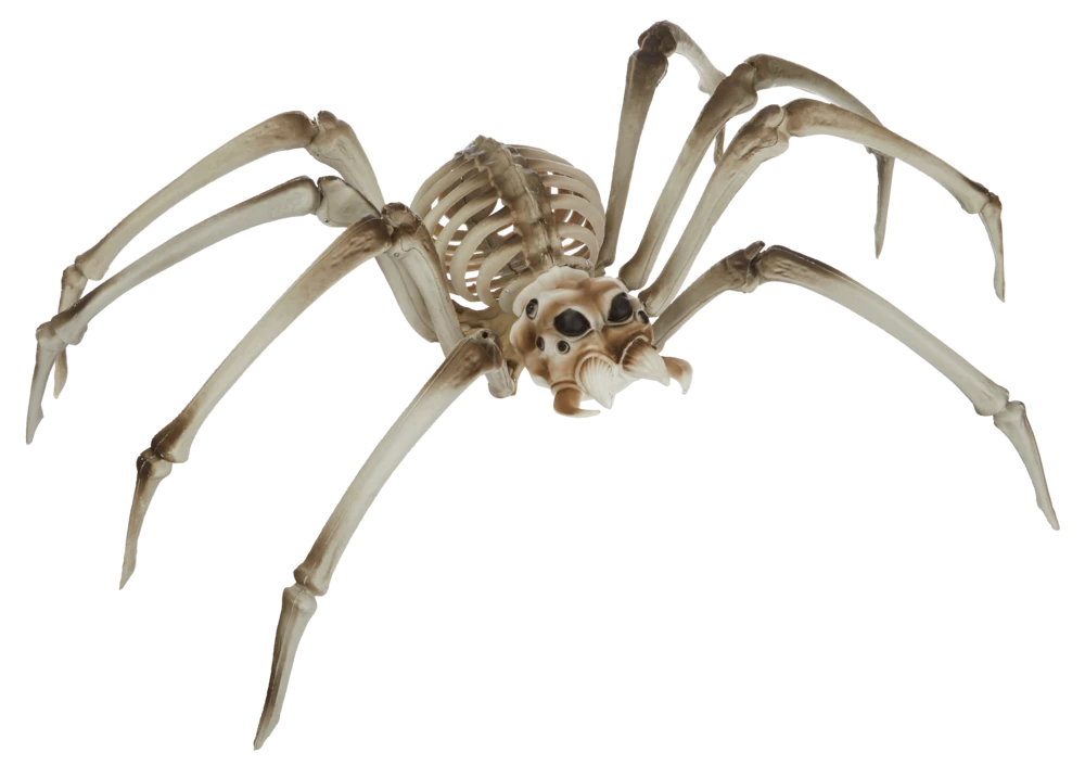 For Living Giant Skeleton Spider With Joint Legs, Scary Halloween Decoration, White, 32-in