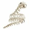 For Living Skeleton Snake, Easy To Bend, Table And Bar Halloween Decorations, White, 43-in