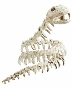 For Living Skeleton Snake, Easy To Bend, Table And Bar Halloween Decorations, White, 43-in