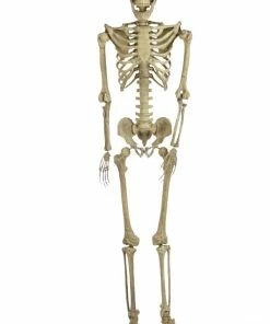 For Living Hanging Full Size Human Skeleton, Creepy Halloween Decorations, Beige, 5-ft