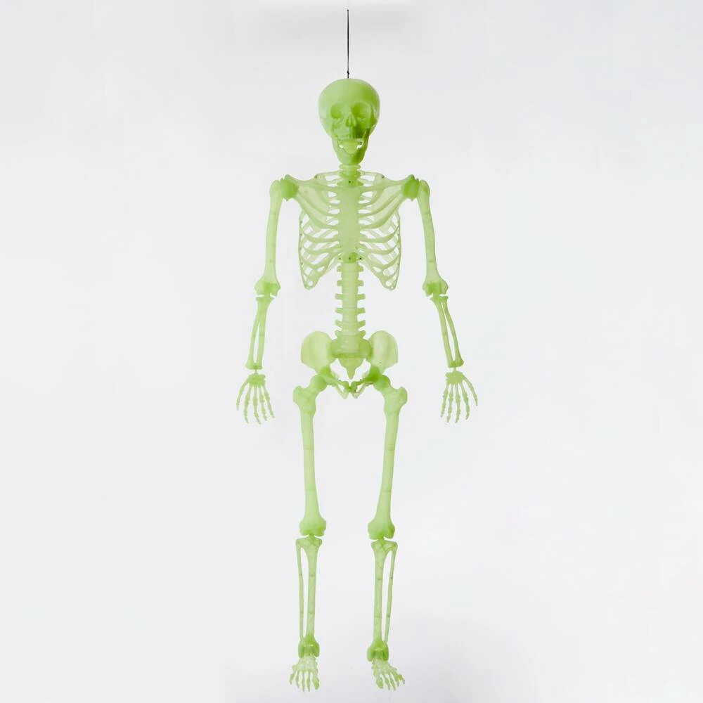 For Living Glow In The Dark Skeleton, Fluorescent Night Effect For Halloween, Green, 5-ft - Image 3