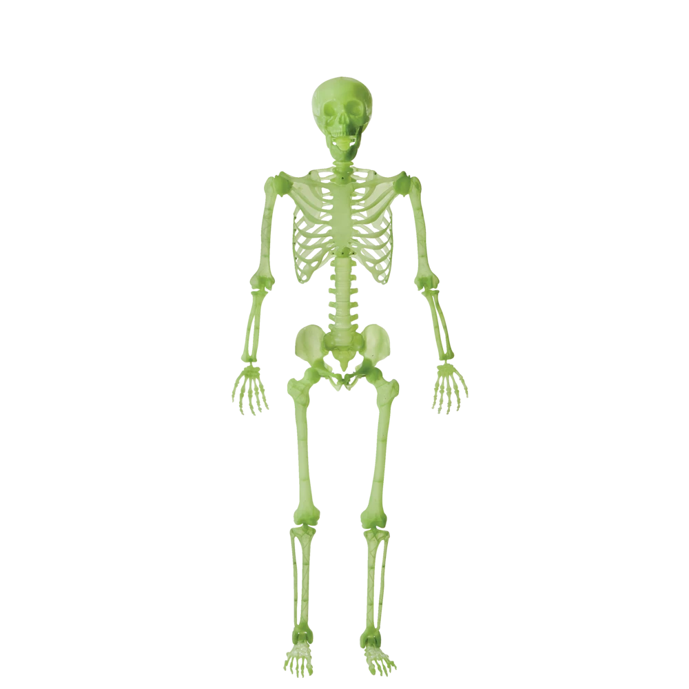 For Living Glow In The Dark Skeleton, Fluorescent Night Effect For Halloween, Green, 5-ft - Image 2