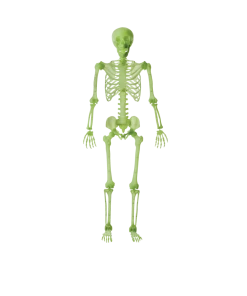 For Living Glow In The Dark Skeleton, Fluorescent Night Effect For Halloween, Green, 5-ft