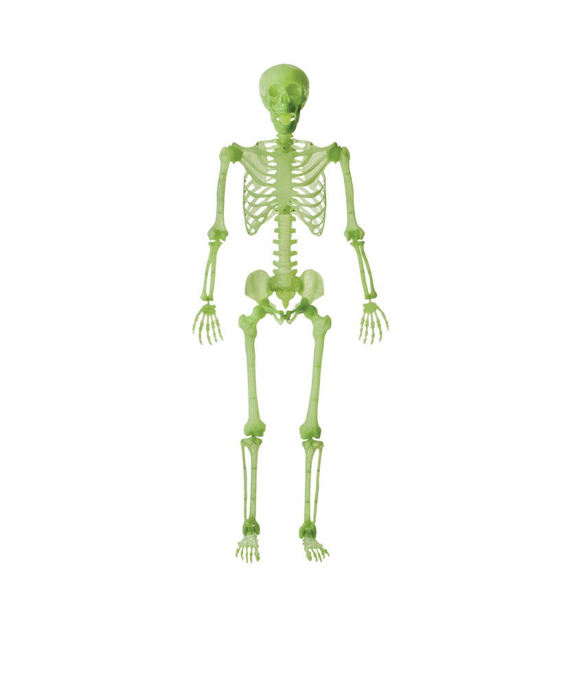 For Living Glow In The Dark Skeleton, Fluorescent Night Effect For Halloween, Green, 5-ft