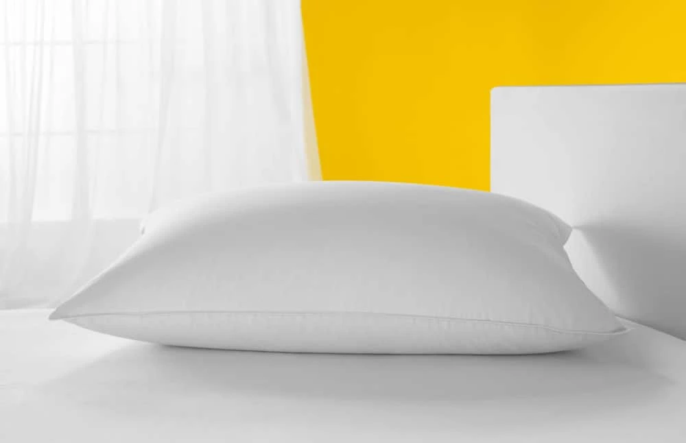 For Living Jumbo Asthma & Allergy Friendly Polyester Pillow, Standard/Queen, 27-in X 19-in - Image 4