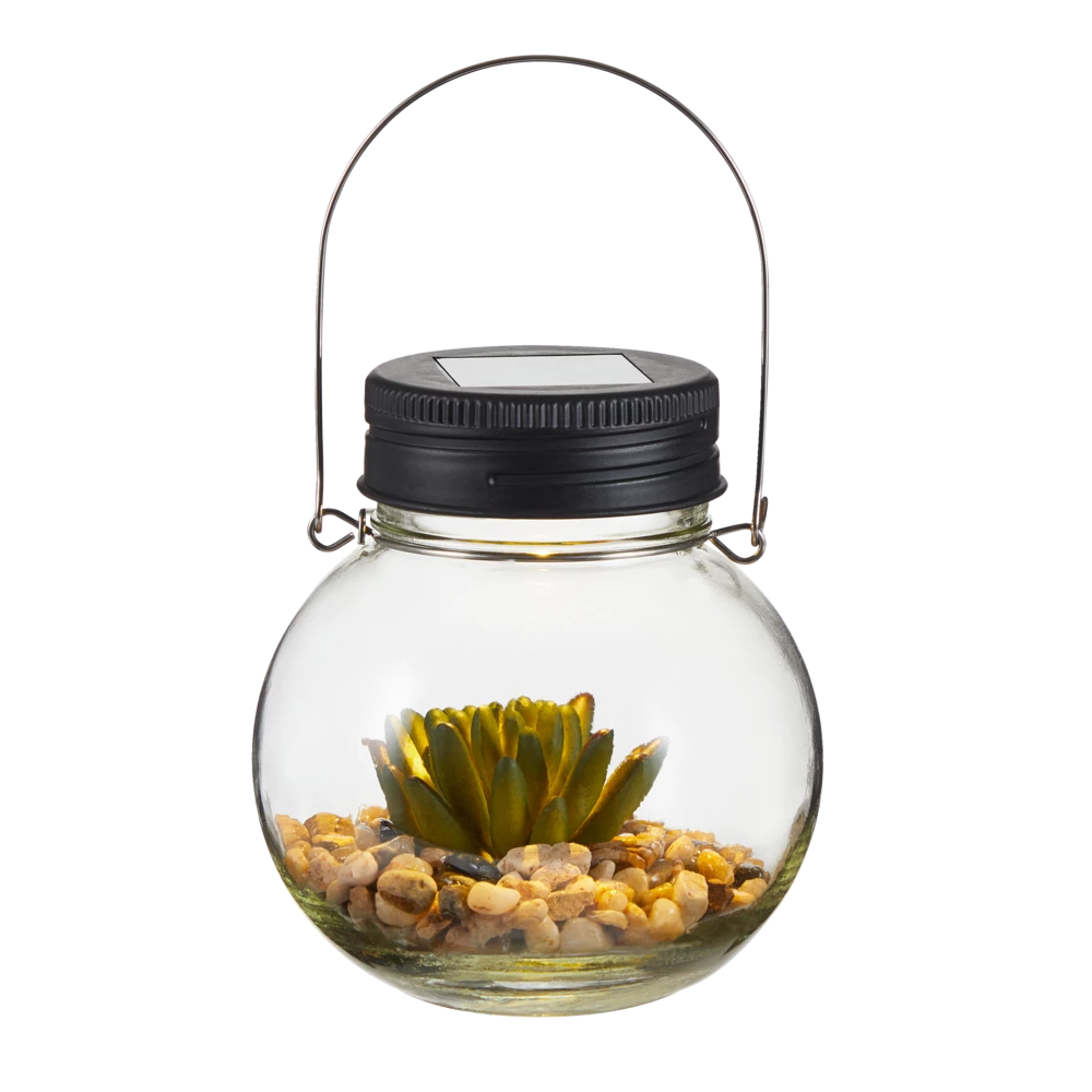 For Living Glass Light With Succulent, 5.12-in - Image 2