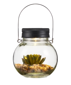 For Living Glass Light With Succulent, 5.12-in