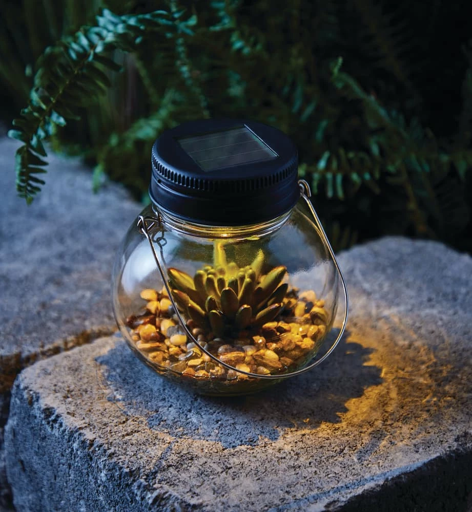 For Living Glass Light With Succulent, 5.12-in - Image 5