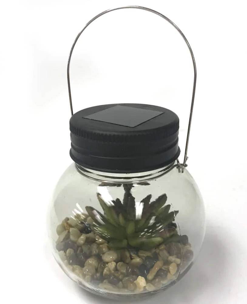 For Living Glass Light With Succulent, 5.12-in - Image 3