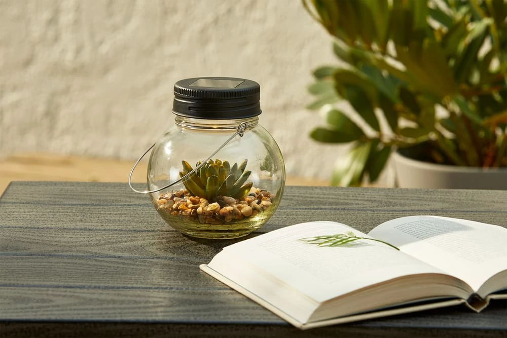 For Living Glass Light With Succulent, 5.12-in - Image 4