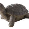 For Living Turtle Statue & Lawn Ornament, 12.80-in, Grey
