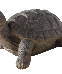 For Living Turtle Statue & Lawn Ornament, 12.80-in, Grey