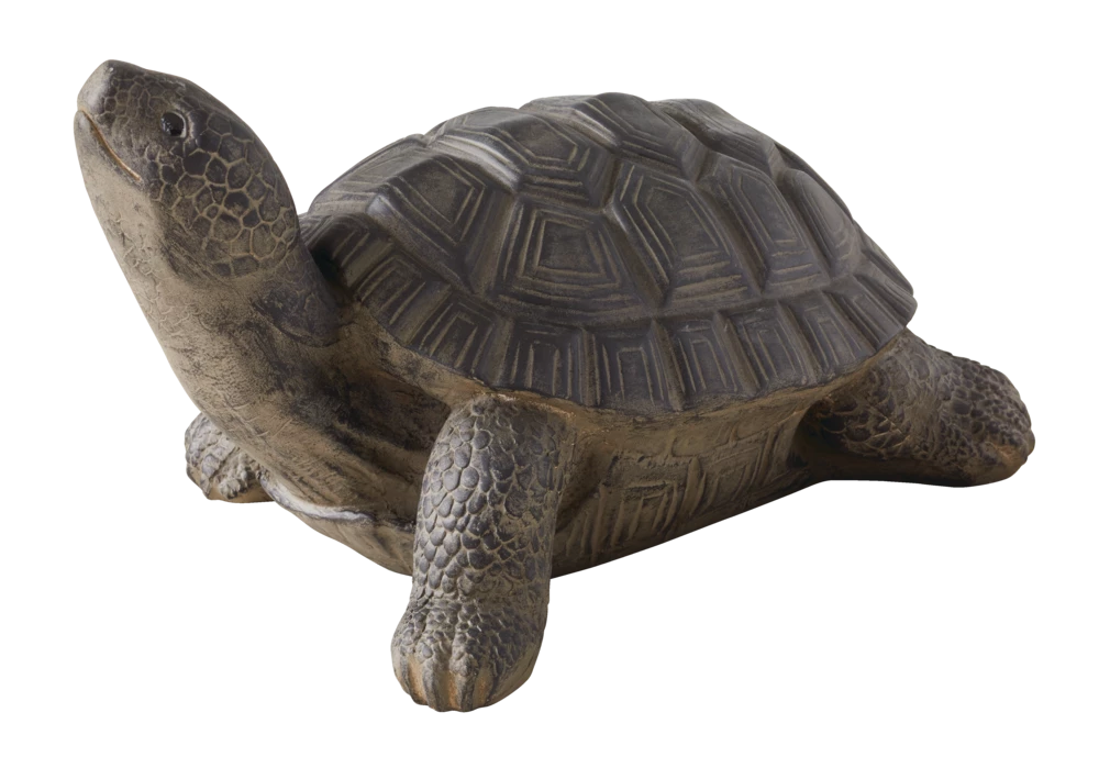 For Living Turtle Statue & Lawn Ornament, 12.80-in, Grey